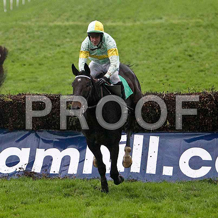 Mighty Bob , 8th - Jockey Andrew J McNamara - FT8E5438-e