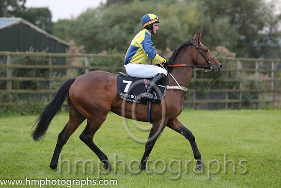 06 Little Haarth and Mr J P Dowling - - 06th (7 ,tellow and blue qtrs ) "
