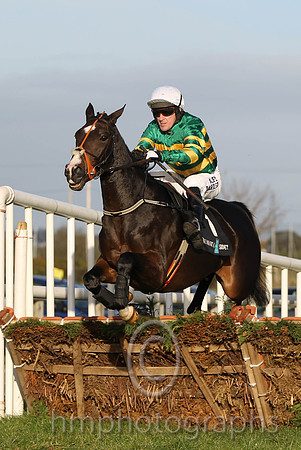 01 Jezki & A P McCoy - winner (1,emerald green and orange hooped ) - FT8E0028-2