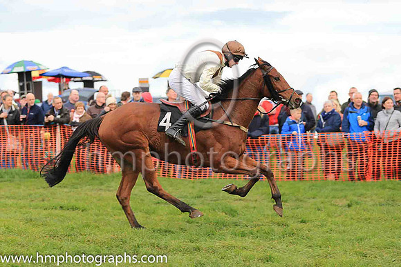 LOUGHVIEW LADDIE and M J O'Hare ( 4 , BEIGE,brown chevron; beige sleeves; brown cap ) Trainer: Mrs John B. Ross,, Owner : Macklin, Sean