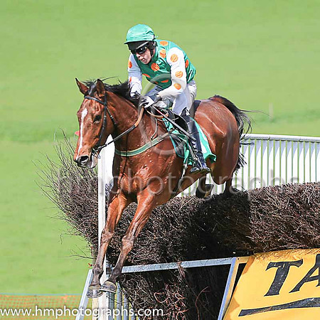 01st COURT JURADO and J P O'Rourke ( 15 , EMERALD GREEN,orange spots; white sleeves,orange spots; emerald green cap ) Trainer: Donnchadh Doyle , Owner : Syndicate Monbeg