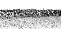 IMG_0008-e3