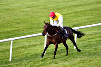 Golden Grimshaw , winner - Jockey B J Geraghty - CU2D2027-e
