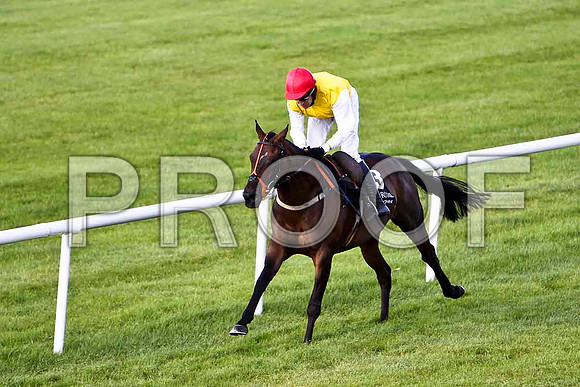 Golden Grimshaw , winner  - Jockey B J Geraghty - CU2D2027-e