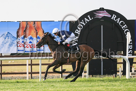 01st Master of Reality and Declan McDonogh (1, dark blue, white armlets) winners Her Majesty's Plate (Listed Race) at Down Royal on Friday 23rd July 2021