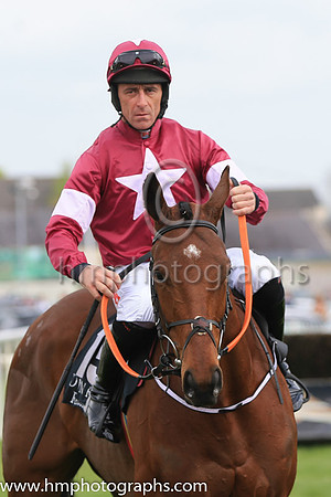 04th Judgement Day and D N Russell ( 15 , maroon, white star ) Trainer - H de Bromhead , Owner - Gigginstown House Stud