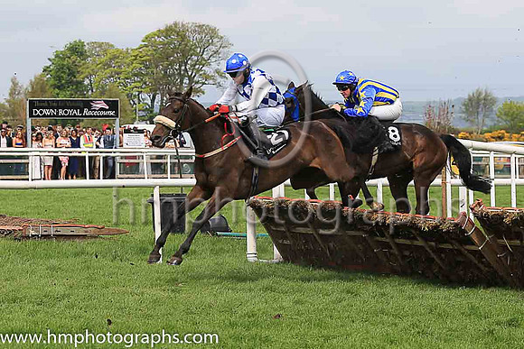10th Realta Dawn and Reserve 1 ( 21 , royal blue and white diamonds ) Trainer - Peter Fahey , Owner - Madhatters On Tour Syndicate