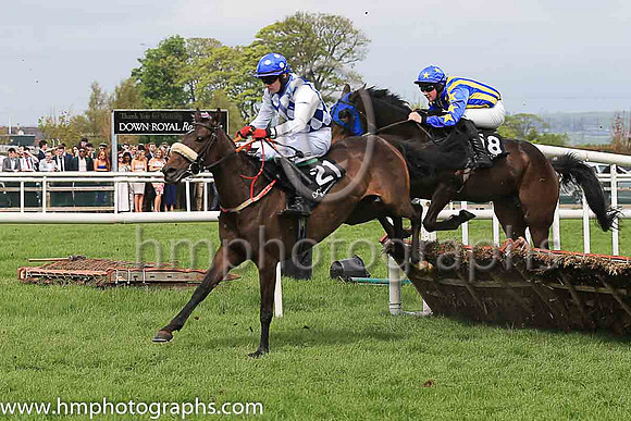 14th Rabbie The Bard and B Browne 5 ( 18 , royal blue and yellow stripes ) Trainer - P W Flynn , Owner - B Lyons