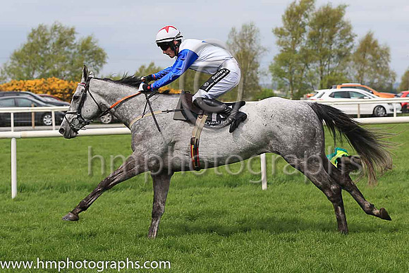 14th Rabbie The Bard and B Browne 5 ( 18 , royal blue and yellow stripes ) Trainer - P W Flynn , Owner - B Lyons