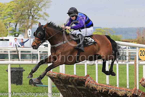 10th Jessicor and J S McGarvey ( 18 , royal blue and black chevrons ) Trainer - D Cullen , Owner - Raymond Doyle