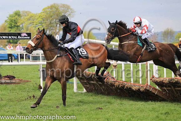11th Sillogue Pio and M A Enright ( 9 , white, red chevrons on sleeves ) Trainer - G A Kingston , Owner - Pub  Grub Syndicate