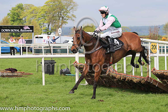 17th British Art and A Ring 3 ( 4 , emerald green and white diabolo ) Trainer - R K Watson , Owner - Cousins Plus One Syndicate