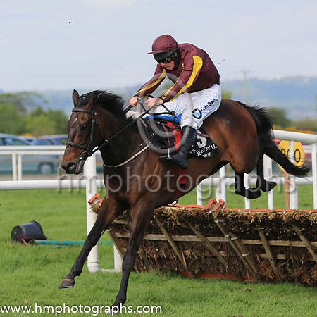 02nd The Conditional and A E Lynch ( 3 , maroon, maroon and yellow striped sleeves ) Trainer - Martin Hassett , Owner - Deirdre Hassett