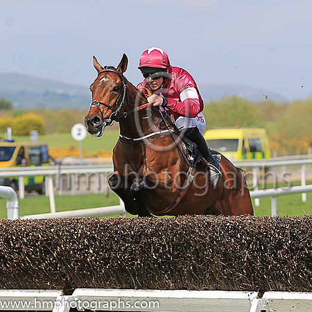 01st Peace News and D N Russell ( 5 , maroon, white star ) Trainer - H de Bromhead , Owner - Gigginstown House Stud