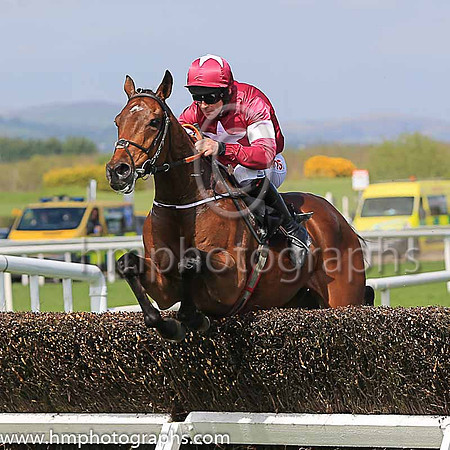 01st Peace News and D N Russell ( 5 , maroon, white star ) Trainer - H de Bromhead , Owner - Gigginstown House Stud