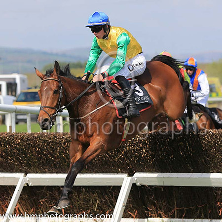 02nd Justmemyselfandi and D Meyler ( 3 , yellow, emerald green sleeves ) Trainer - Miss E Doyle , Owner - Well Oiled Partnership