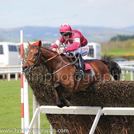 01st Peace News and D N Russell ( 5 , maroon, white star ) Trainer - H de Bromhead , Owner - Gigginstown House Stud