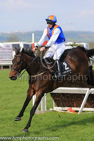 05th Drummullagh Rocky and C D Maxwell ( 2 , royal blue, orange chevron ) Trainer - S McParlan , Owner - Martin Ward