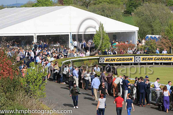 Large crowds at Down Royal