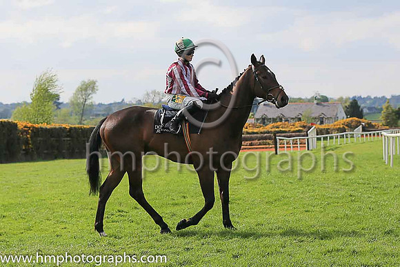11th Anytimeanyplace and Ms L O'Neill 3 ( 1 , maroon and white stripes ) Trainer - A L T Moore , Owner - Mrs A L T Moore