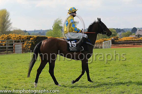 12th Vinabell and Mr M J Doyle 7 ( 15 , yellow, light blue triple diamond ) Trainer - Shane Nolan , Owner - David Jordan