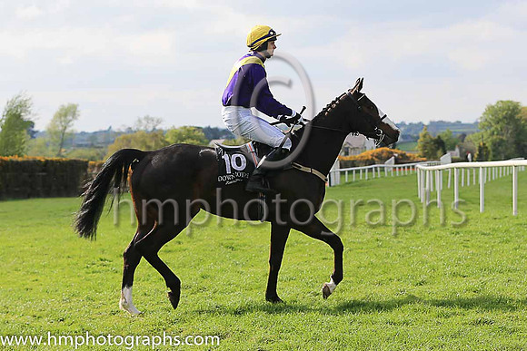 06th Valley Breeze and Mr A McMahon 7 ( 10 , purple, yellow chevron ) Trainer - W P Mullins , Owner - Luke McMahon
