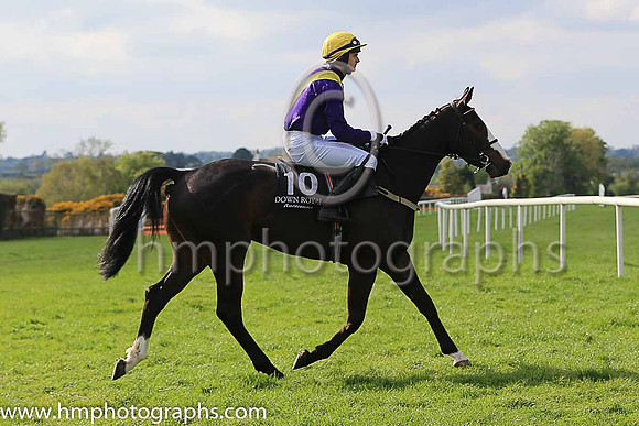 06th Valley Breeze and Mr A McMahon 7 ( 10 , purple, yellow chevron ) Trainer - W P Mullins , Owner - Luke McMahon