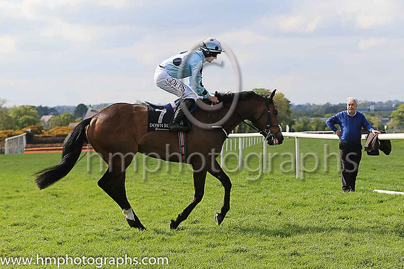 05th Ronnoco and Mr T Hamilton 5 ( 7 , light blue, large dark blue spots ) Trainer - Joseph P O?Brien , Owner - Headofthefield Syndicate