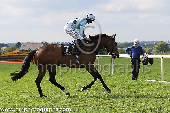 05th Ronnoco and Mr T Hamilton 5 ( 7 , light blue, large dark blue spots ) Trainer - Joseph P O?Brien , Owner - Headofthefield Syndicate
