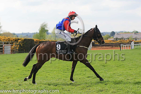 13th Templeton Roch and Mr N McParlan 3 ( 9 , royal blue, red epaulettes ) Trainer - C A McBratney , Owner - Jonathan Flanagan