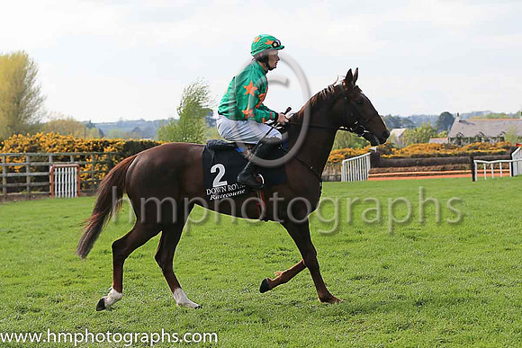 07th Baily Thunder and Mr R P Quinlan 3 ( 2 , green, orange star ) Trainer - M F Morris , Owner - R A Scott