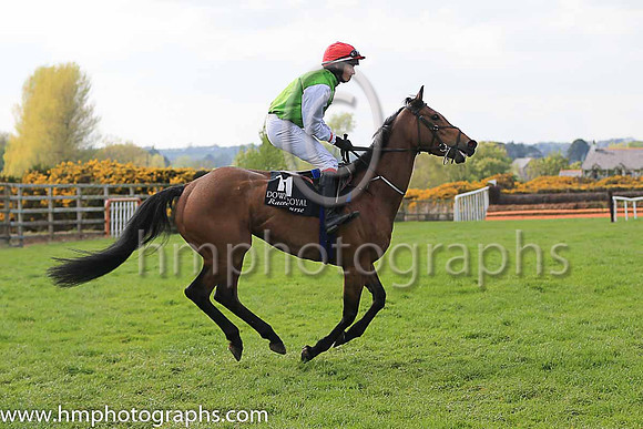 14th Gerrys Gem and Mr D J McConville 7 ( 11 , light green, white sleeves ) Trainer - Adrian Mcallister , Owner - Ms Sinead McGleenon
