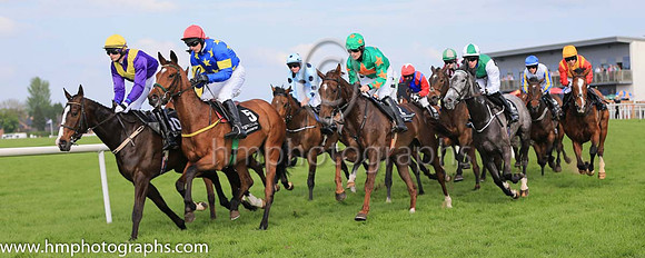 01st Jerandme and Mr M J O'Hare 5 ( 5 , royal blue, yellow stars ) Trainer - N Meade , Owner - Harbrio Partnership