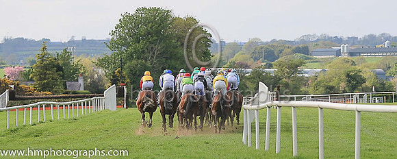 Racing at Down ROyal