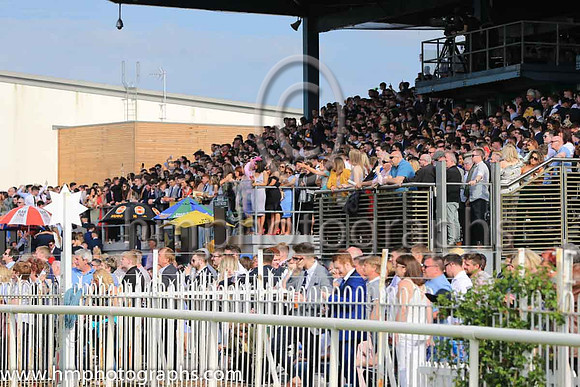 Large crowds at Down Royal