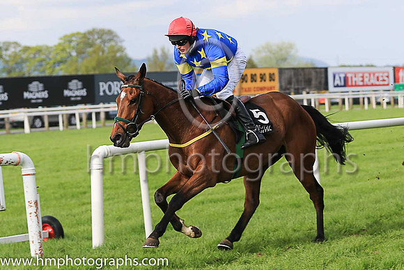 01st Jerandme and Mr M J O'Hare 5 ( 5 , royal blue, yellow stars ) Trainer - N Meade , Owner - Harbrio Partnership