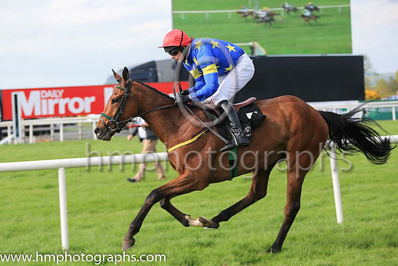 01st Jerandme and Mr M J O'Hare 5 ( 5 , royal blue, yellow stars ) Trainer - N Meade , Owner - Harbrio Partnership