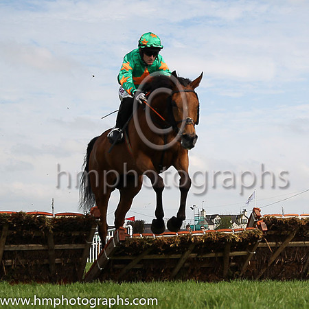 05th Baily Moon and A Ring 3 ( 4 , green, orange star ) Trainer - M F Morris , Owner - R A Scott