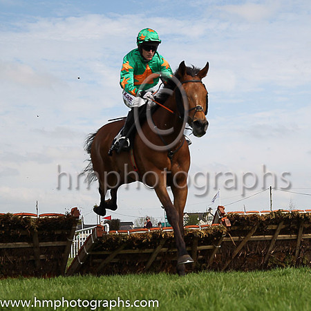05th Baily Moon and A Ring 3 ( 4 , green, orange star ) Trainer - M F Morris , Owner - R A Scott