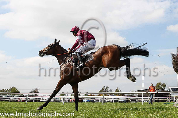 01st Peace News and D N Russell ( 5 , maroon, white star ) Trainer - H de Bromhead , Owner - Gigginstown House Stud