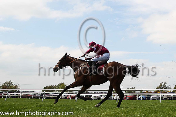 01st Peace News and D N Russell ( 5 , maroon, white star ) Trainer - H de Bromhead , Owner - Gigginstown House Stud