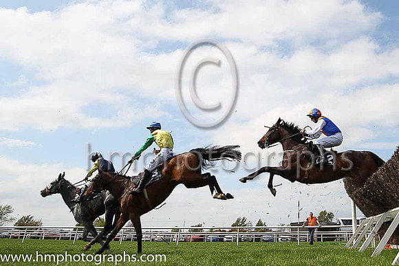 05th Drummullagh Rocky and C D Maxwell ( 2 , royal blue, orange chevron ) Trainer - S McParlan , Owner - Martin Ward
