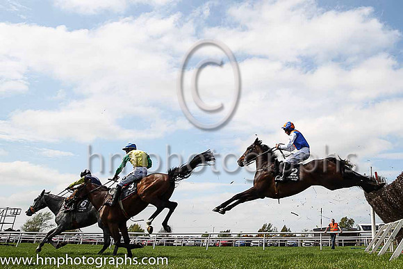 05th Drummullagh Rocky and C D Maxwell ( 2 , royal blue, orange chevron ) Trainer - S McParlan , Owner - Martin Ward
