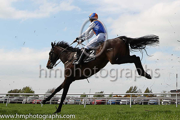 05th Drummullagh Rocky and C D Maxwell ( 2 , royal blue, orange chevron ) Trainer - S McParlan , Owner - Martin Ward