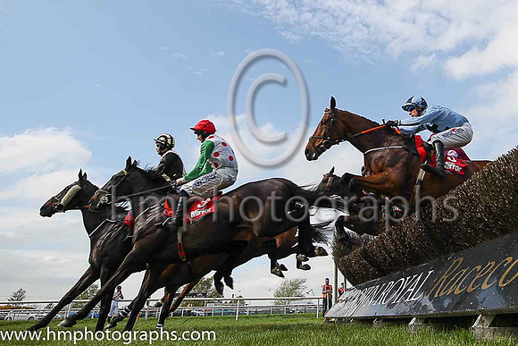 11th Our Dougal and R M Power ( 5 , light blue, dark blue cross ) Trainer - H de Bromhead , Owner - Mrs Lorraine Mangan