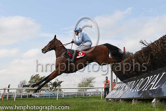 11th Our Dougal and R M Power ( 5 , light blue, dark blue cross ) Trainer - H de Bromhead , Owner - Mrs Lorraine Mangan