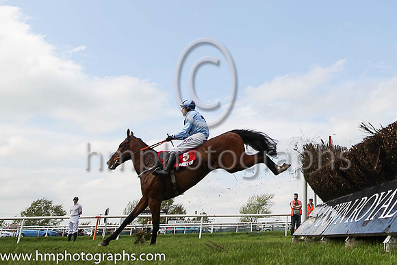 11th Our Dougal and R M Power ( 5 , light blue, dark blue cross ) Trainer - H de Bromhead , Owner - Mrs Lorraine Mangan
