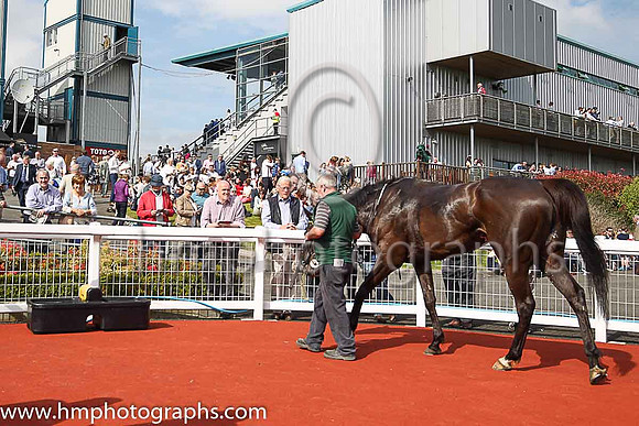 01st Drumconnor Lad and R Loughran ( 3 , white, red spots ) Trainer - A Keatley , Owner - David G Keys