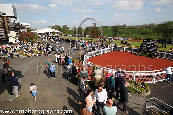 Large crowds at Down Royal