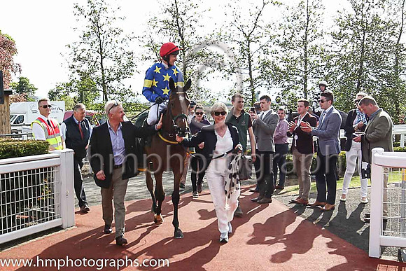 01st Jerandme and Mr M J O'Hare 5 ( 5 , royal blue, yellow stars ) Trainer - N Meade , Owner - Harbrio Partnership